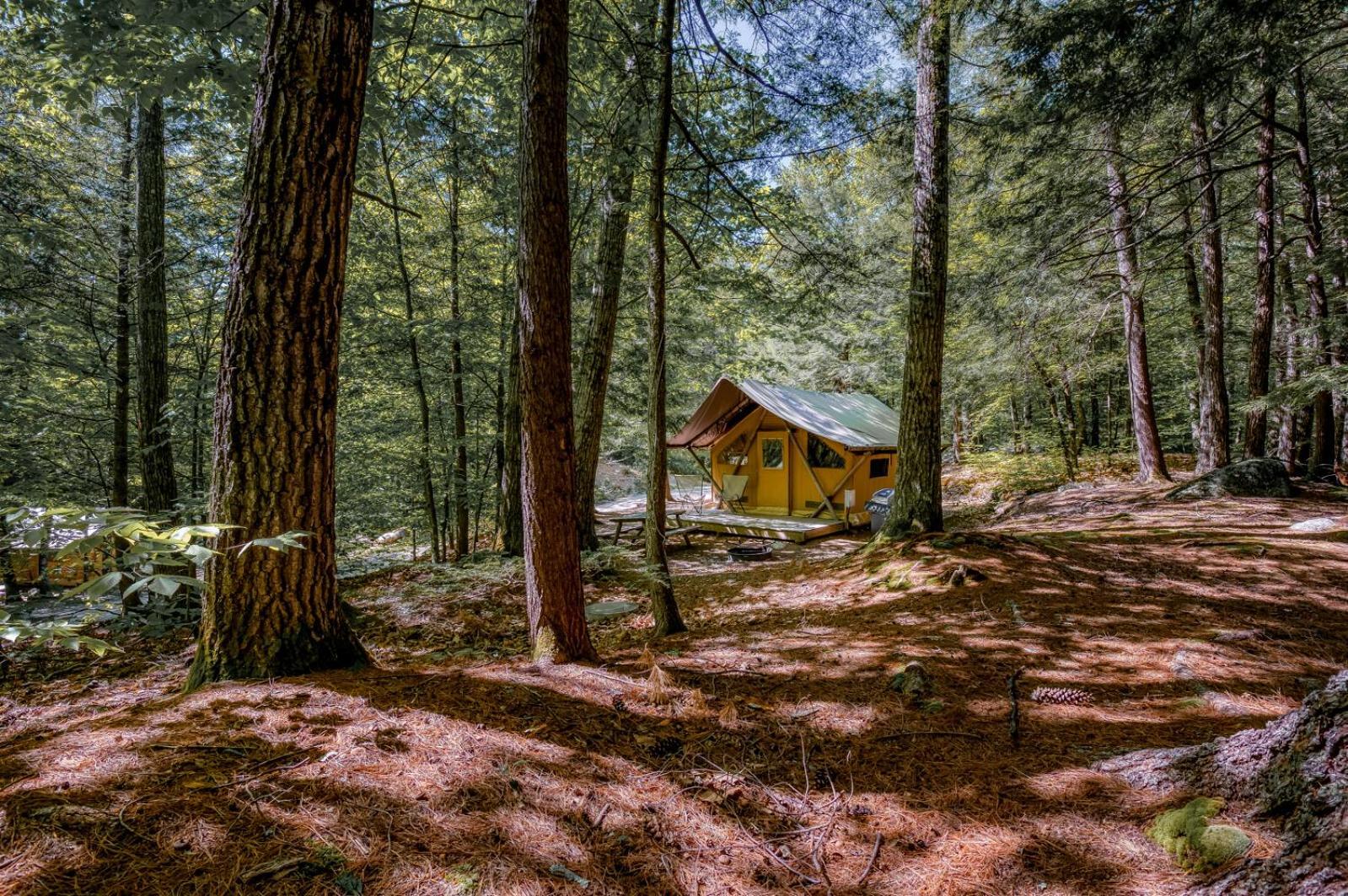 Huttopia White Mountains ألباني المظهر الخارجي الصورة